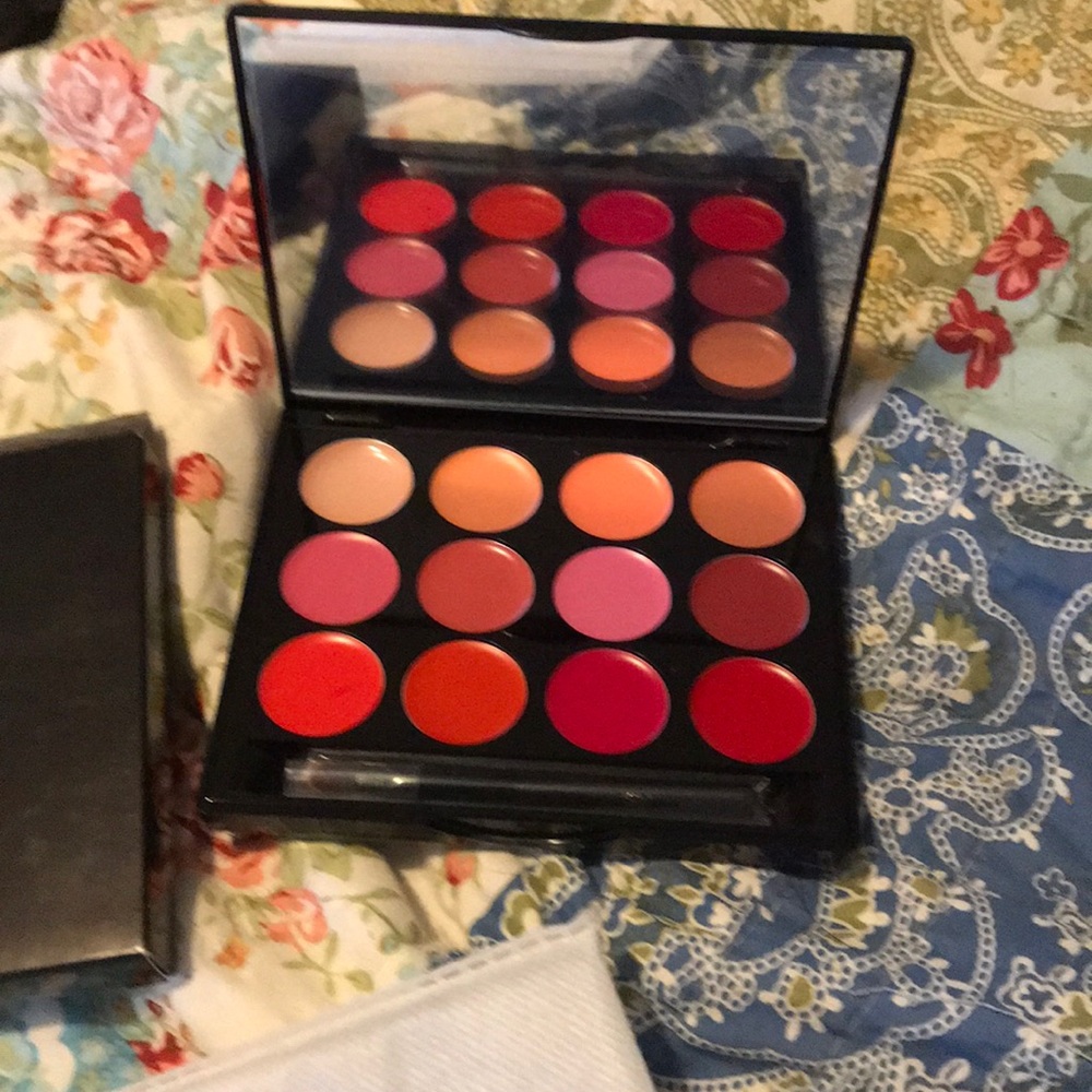 Ish Lip statement palette